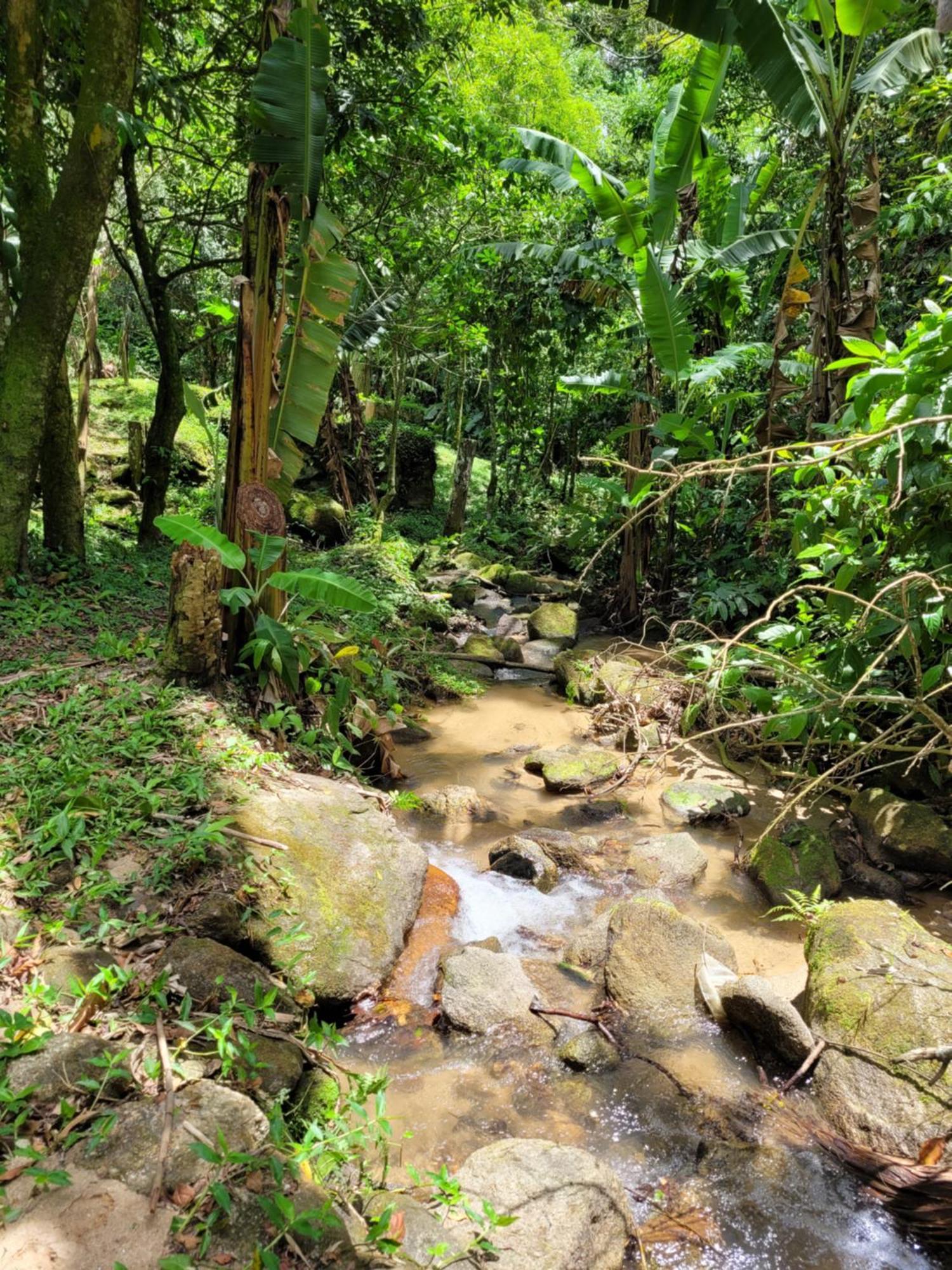 Pedra Grande -